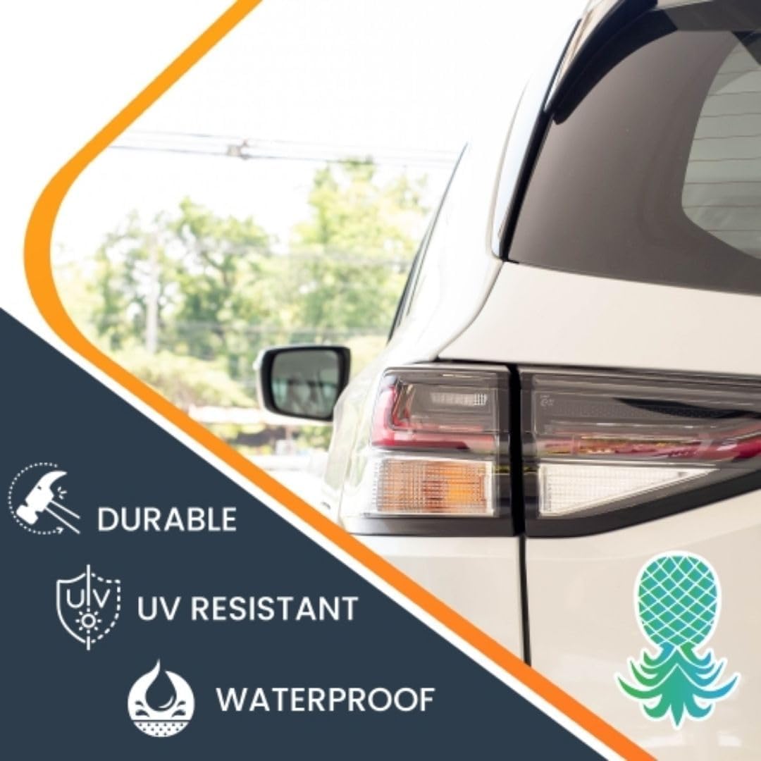 Magnet Me Up Upside Down Pineapple Magnet Decal, 4x6, One Pink and Yellow and One Blue and Green 4x6 Inch, 2 Pack, Automotive Magnet for Car Truck SUV, Any Magnetic Surface, Crafted in USA