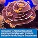 API CALCIUM TEST KIT Saltwater Aquarium Water 1-Count Test Kit