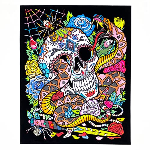 Stuff2Color Snake Eyes Fuzzy Velvet Coloring Poster for Kids and Adults (Complete with Skull, Spider, Spiderweb, and Flowers) - Awesome Arts and Crafts Activity for All Ages [Halloween]