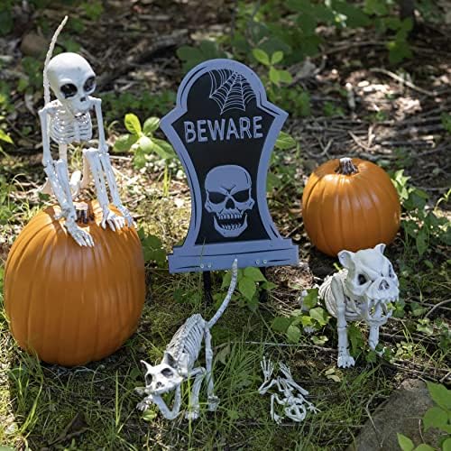 61NlHp+Y86L._AC_ Frog Halloween Skeleton (Pack of 3) - 8" Long Weatherproof Yard Decorations, Great Graveyard Prop for Party Decoration and Indoor Outdoor