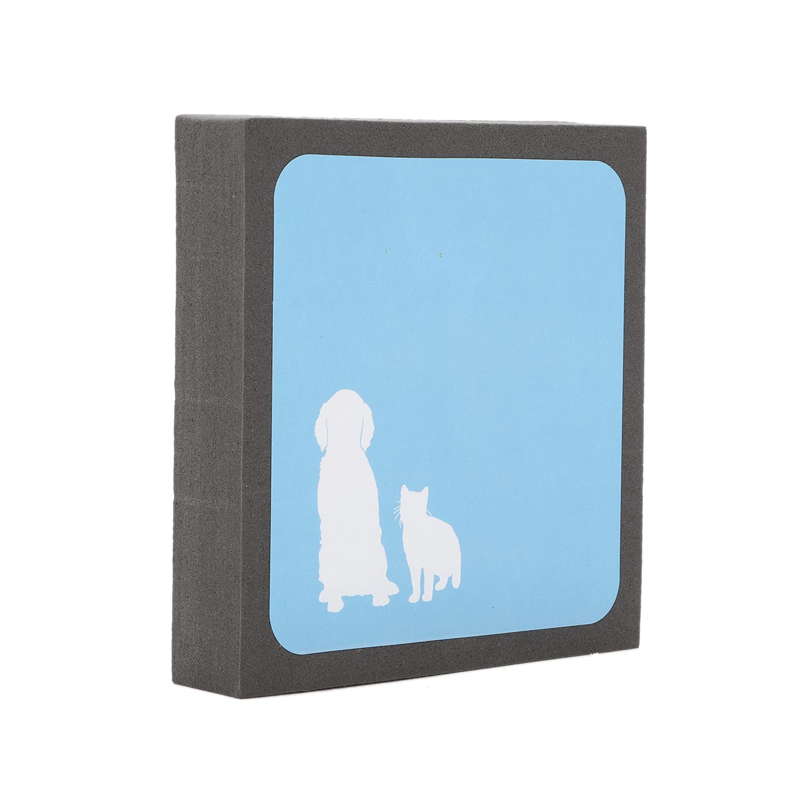 Pet Hair Remove Brush Portable and Reusable Electrostatic Hair Removal Detailing Brush for Home Cleaning