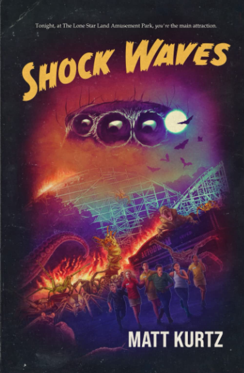 Cover of Shock Waves
