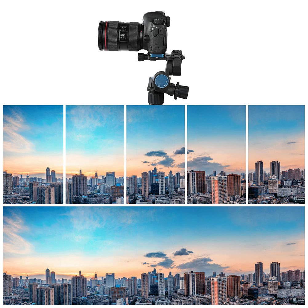 Testa a sfera resistente con quadrante di posizionamento preciso per fotocamera DSLR, ideale per fotografia professionale