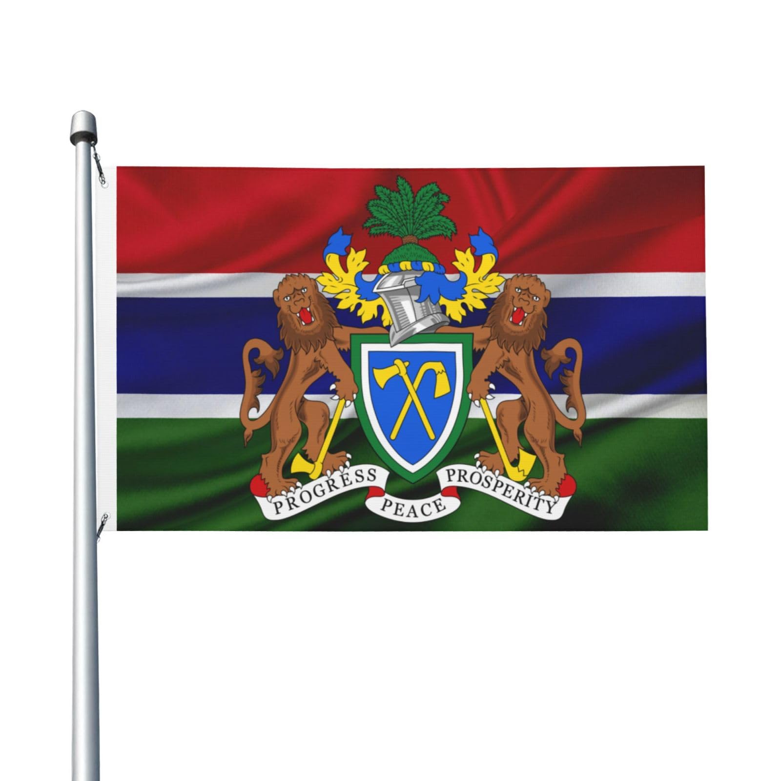 Amazon.com: Gambia National Flag Card Binders, 4 Pocket Card  Republic of The Gambia Flag Business Card Holder main image 1