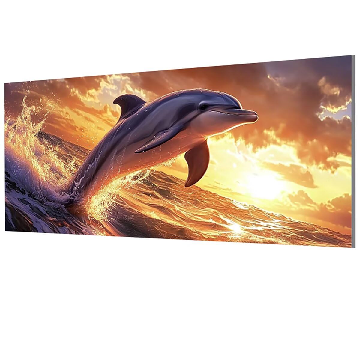 Amazon.co.jp: 数字油絵 イルカ, ペイントバイナンバー 海, Paint by