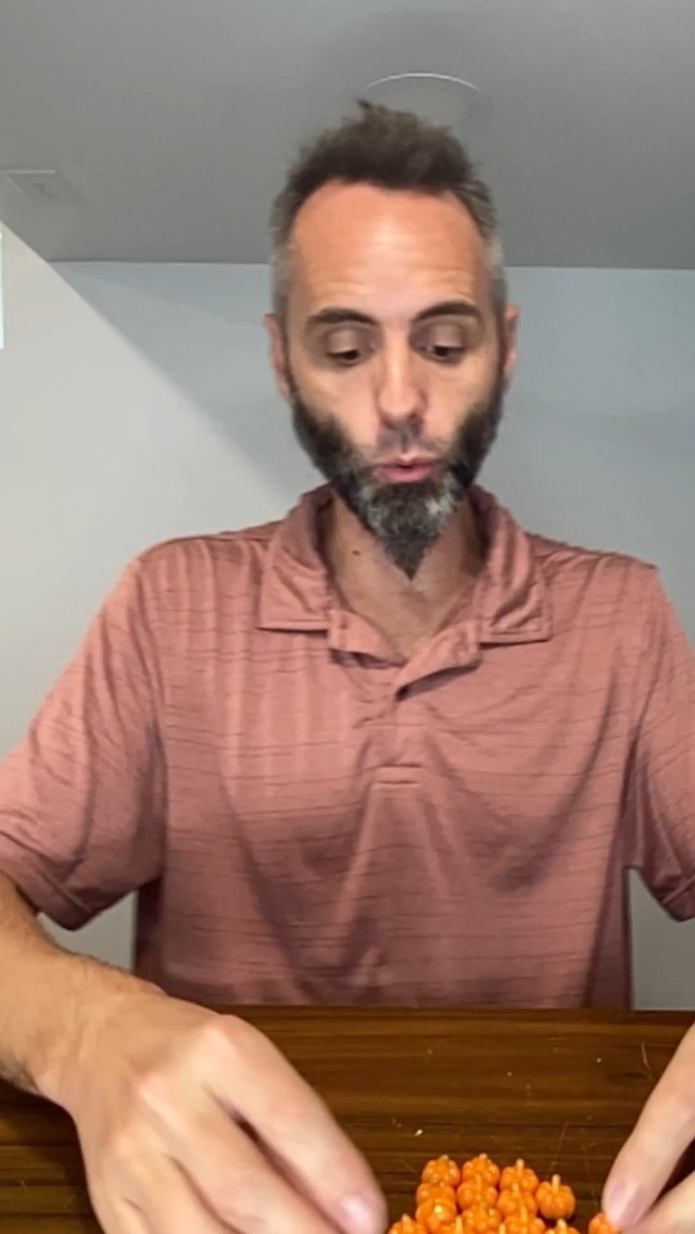 BEST Mini Pumpkins for Fall Decor? | Small Pumpkins