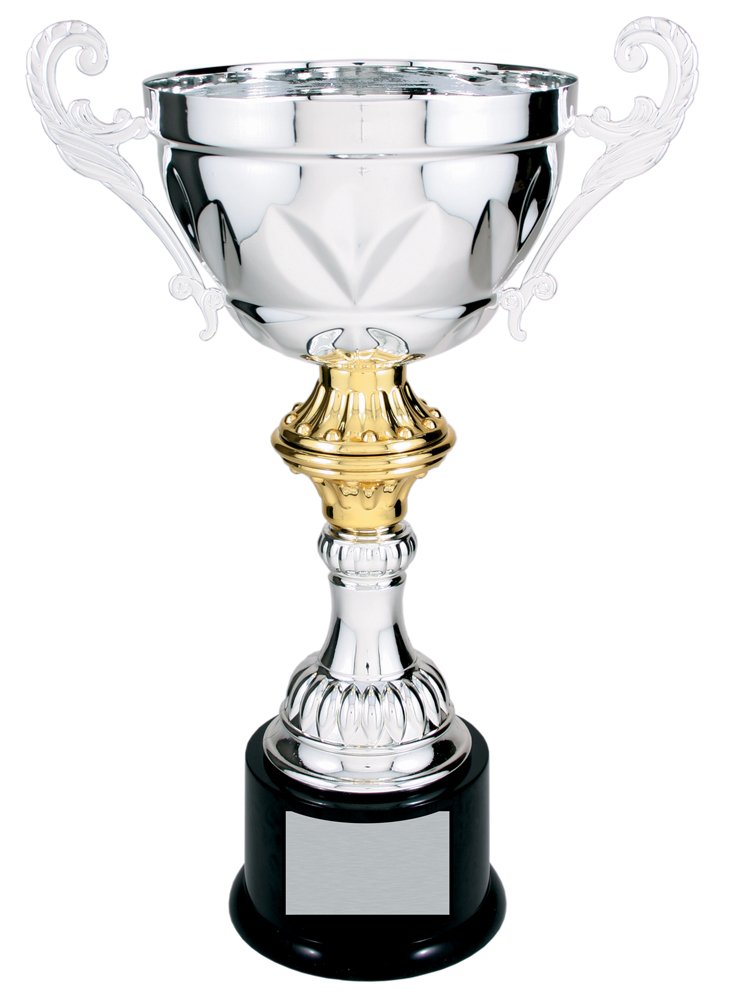 JDS Trophy Paradise Series 200 Metal Cup Trophy - Silver/Gold 8.75" to 14.5"