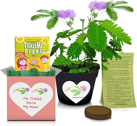 TickleMe Plant Mother's Day Gift Box Set -...