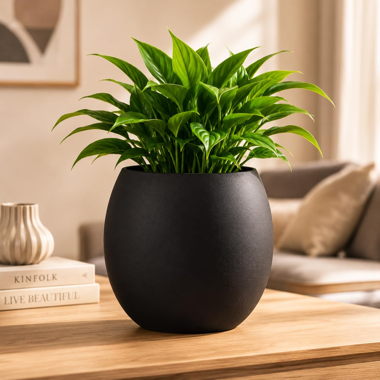 Black Indoor Planters - Modern Home Decor -12 Black Indoor Planters - Modern Home Decor -12