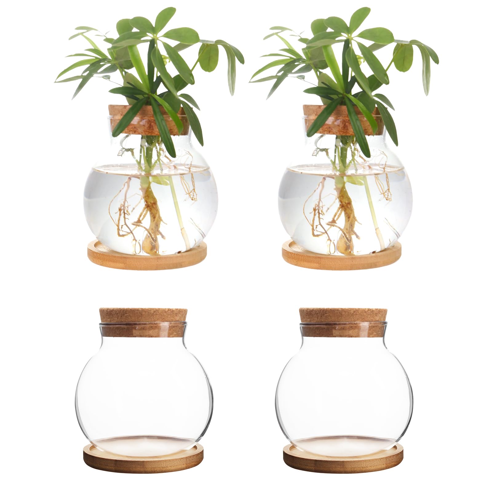 product_img5