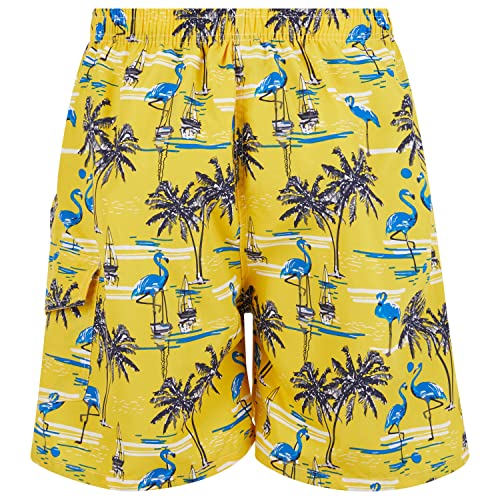 Men's Swim Trunks,Swimming Shorts with Mesh Lining, Beach Shorts Bathing Suit with Cargo Pocket Fun Vacation Prints4