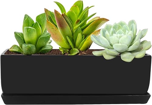 Miniatura 2 de Vencer Maceta rectangular moderna minimalista de cerámica para suculentas de 14 pulgadas, caja con ventana con platillo, soporte de escritorio de