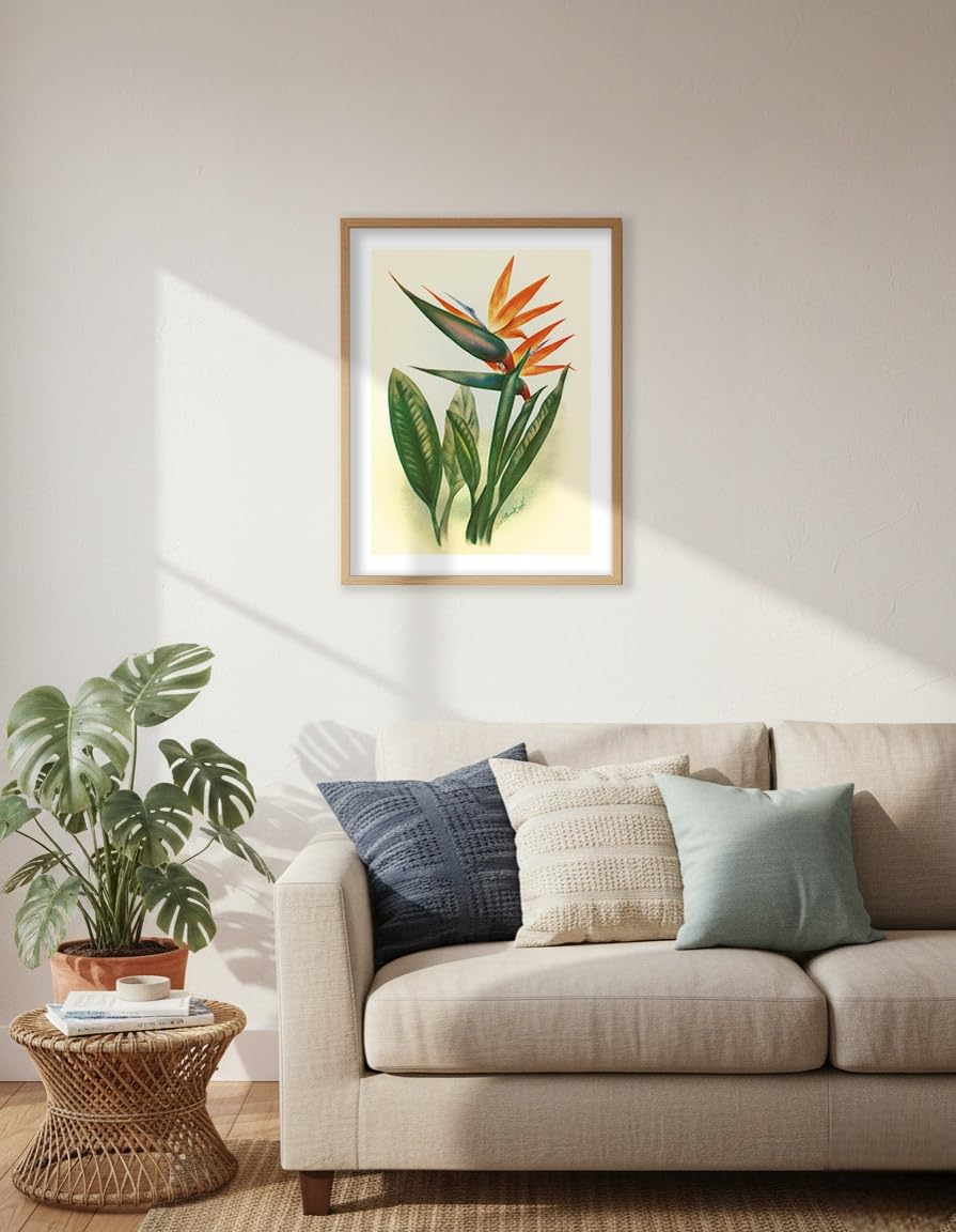 Amazon.com: Hawaiian Bird of Paradise - Vintage Hawaiian Airbrush