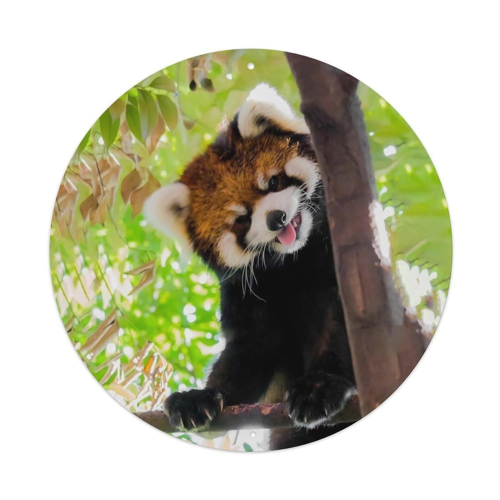 Red Panda Tree Wildlife Forest Photography Metal Tin Sign