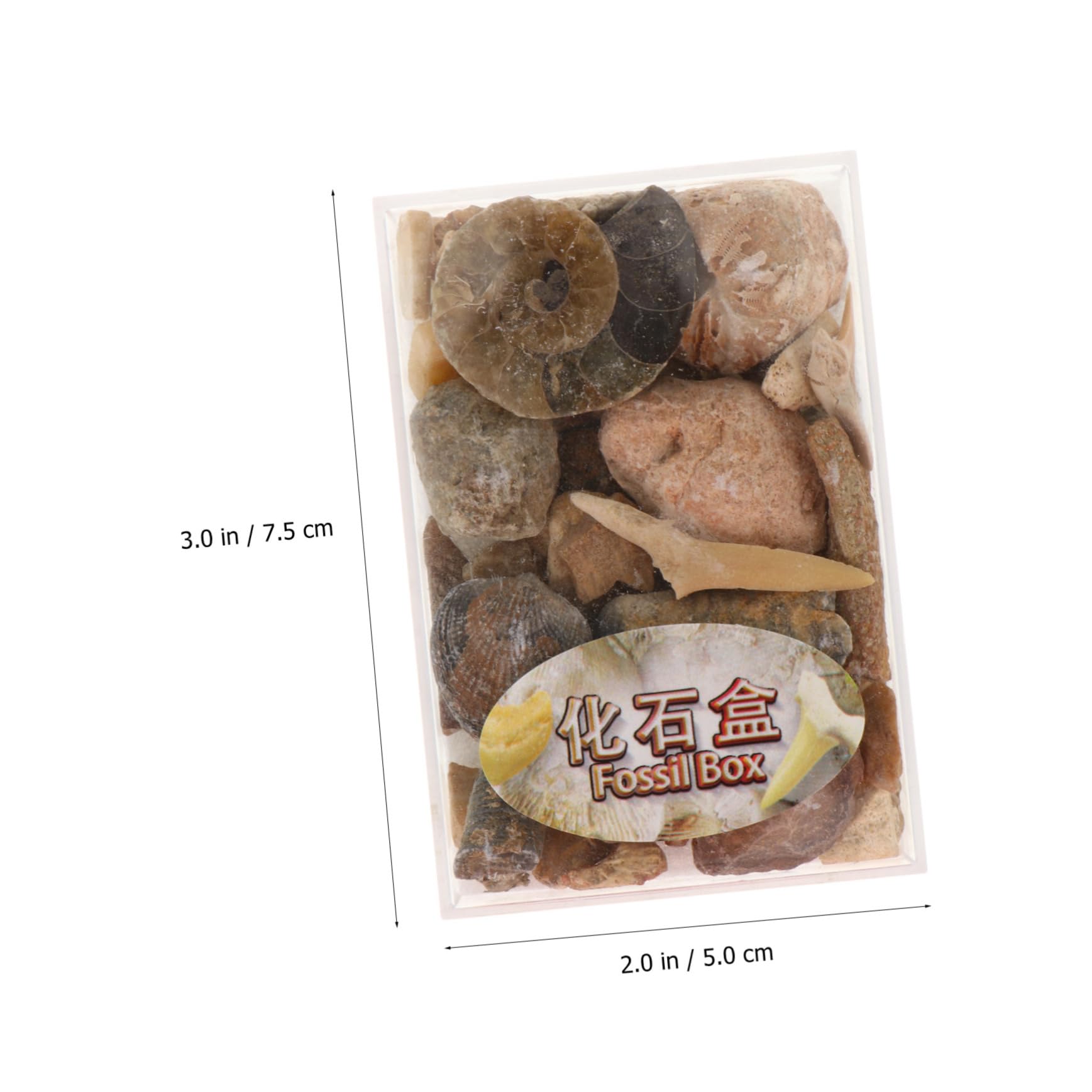 OHPHCALL of Collection Stones Natural Specimen Stones for Teaching Home Garden Decor