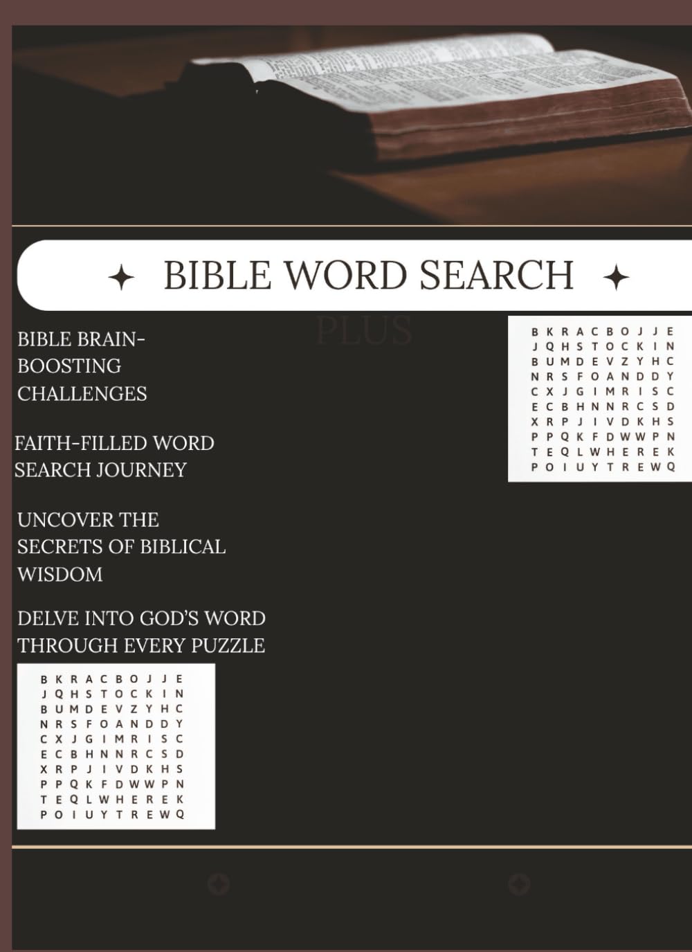 Bible Inspired word search puzzle book