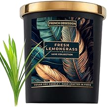 Scented Candles for Home Decor, Bedroom| Scented Candle Gift Set for Wife,Girl| 560 gm| Burn 60+ Hrs | Aroma Therapy Candles| Fragrance Candles for Home | Lemon Grass Scent