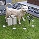 Laluky Grabschmuck Hund oder Katze-Grabschmuck Herz mit Tatze Grabkreuz für Tiere wetterfest für Tiergrab oder Garten Kreuz oder Herz Grab Marker bedeutungsvoll Hund Pfote robuste Garten Dekor(C)
