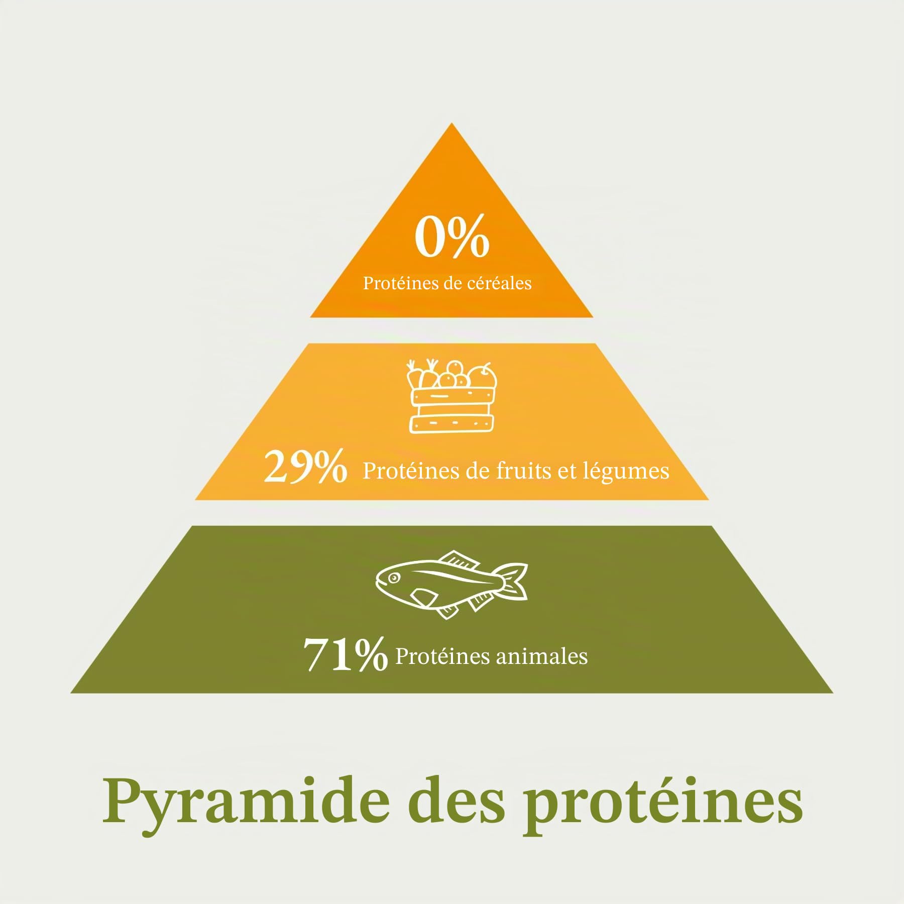 Bellfor Forstbach-Schmaus Nourriture Sèche pour Chien. Croquettes Pressée à Froid sans Céréales avec Saumon et Truite, Riche en Vitamines Naturelles, Minéraux et Antioxydants, 10 kg