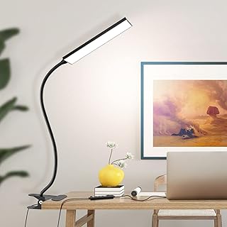 Clip on Light LED Desk Lamp with Eye-Caring LED Light and Metal Clip, 11 Level Brightness 3 Color Modes, Power by USB Port 5W Flexible Gooseneck Reading Light for Home and Office (5W, Black)