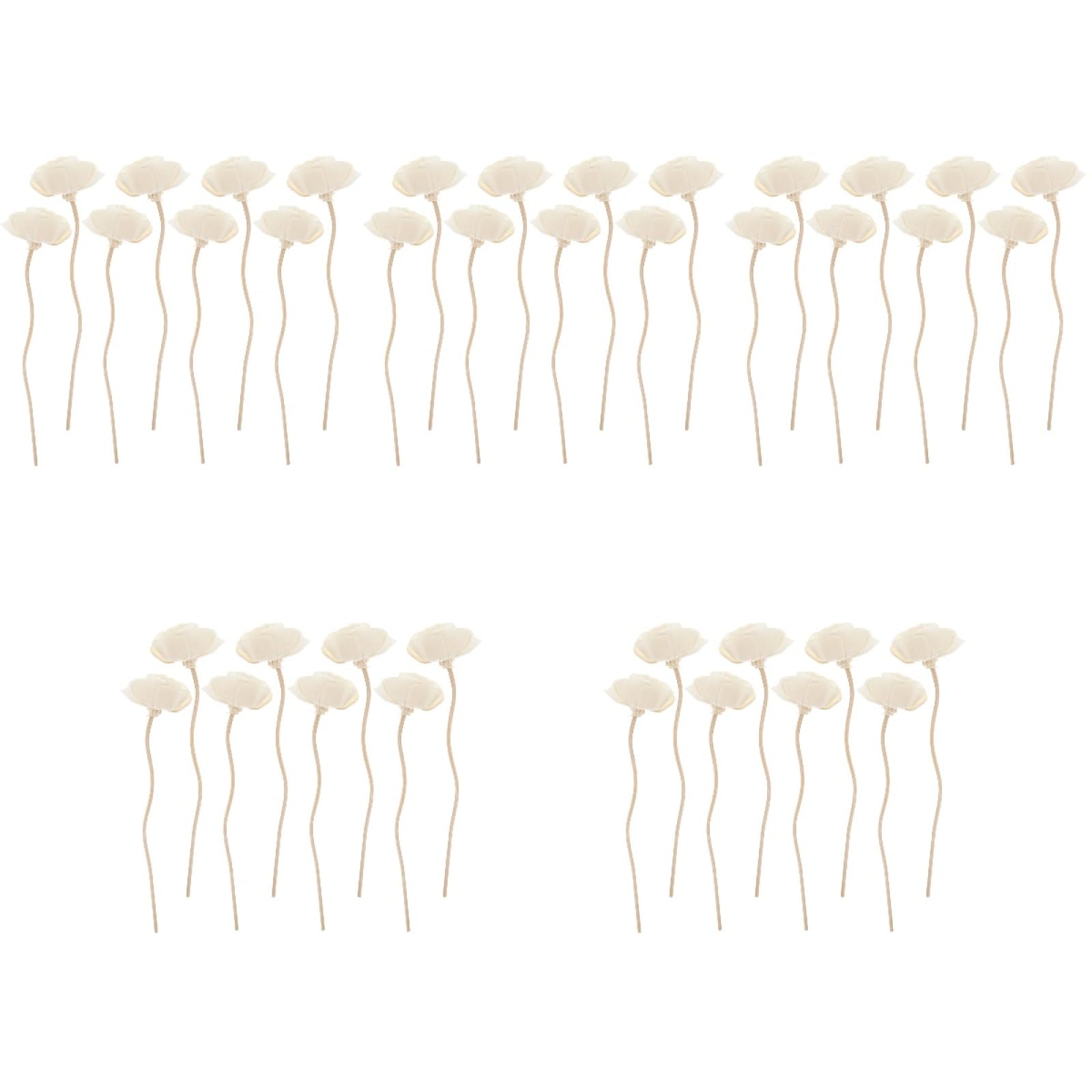 Bâtons de diffuseur d'huile OUNONA en rotin et fleurs séchées de haute qualité décorative