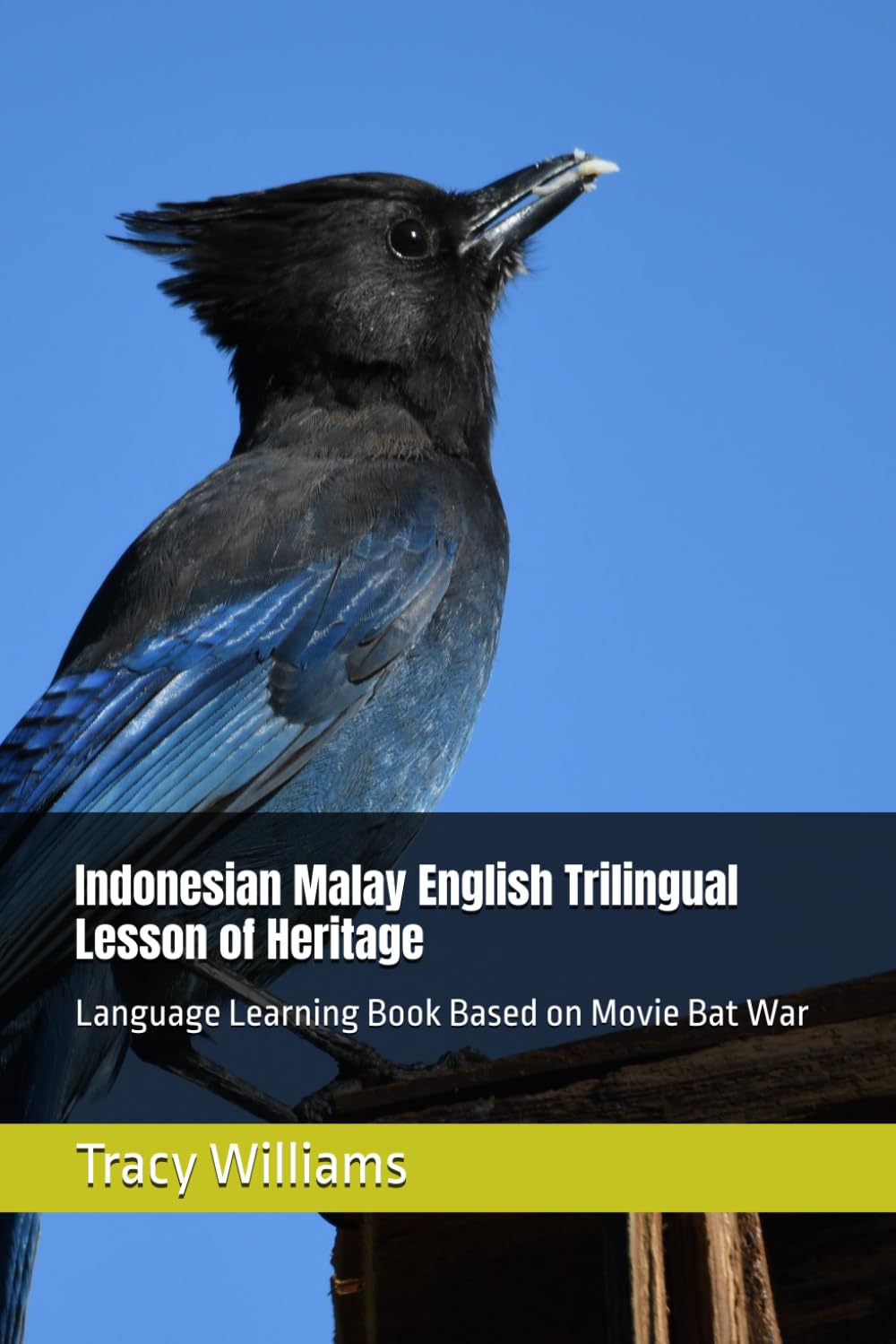 Indonesian Malay English Trilingual Lesson of Heritage: Language Learning Book Based on Movie Bat War