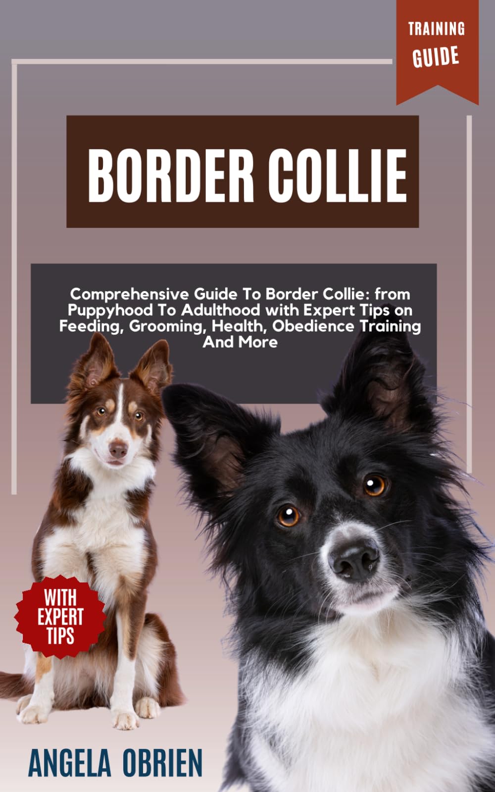 Collie Temperament Best Way To Train A Border Collie Border Collie