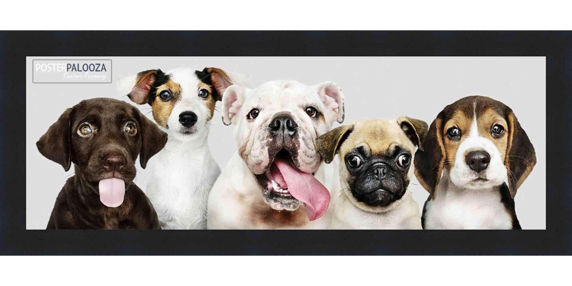 Photo 1 of 13x39 Contemporary Black Wood Picture Panoramic Frame - Picture Frame Includes UV Acrylic, Foam Board Backing, & Hanging Hardware! Panoramic Poster Frame