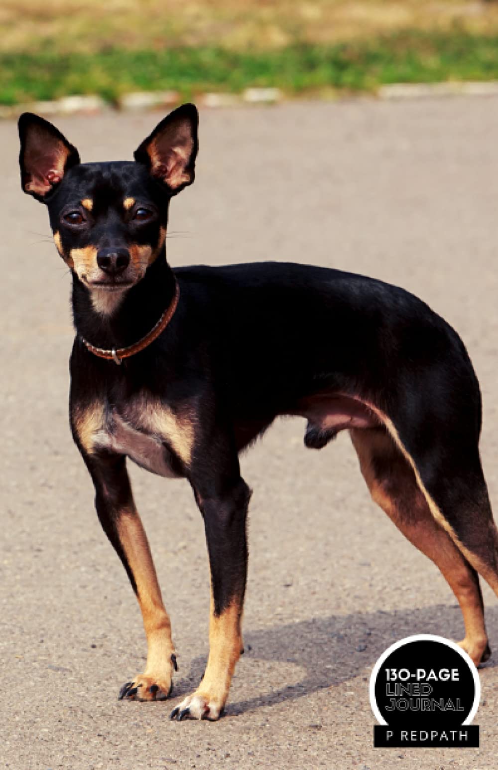 TOY MANCHESTER TERRIER: A LINED NOTEBOOK & JOURNAL: An Awesome Toy Manchester Terrier Notebook With Lined Interior - Great Gift For Dog Lovers