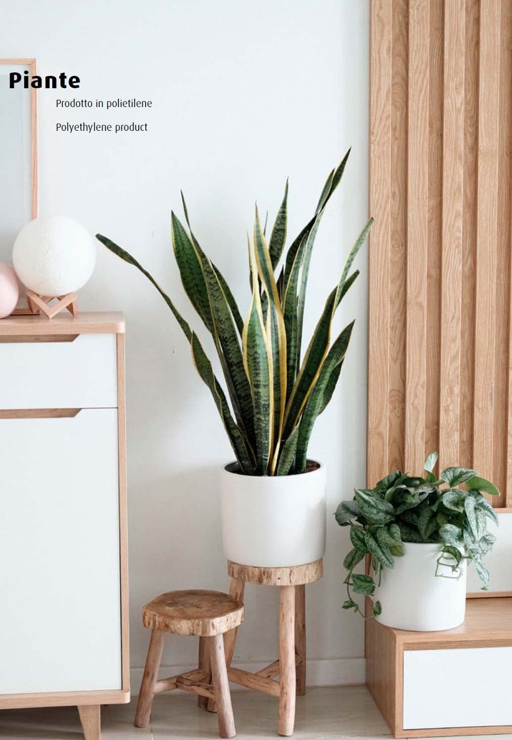 King Collection PIANTA SANSEVIERIA H. 75 cm 21 FOGLIE
