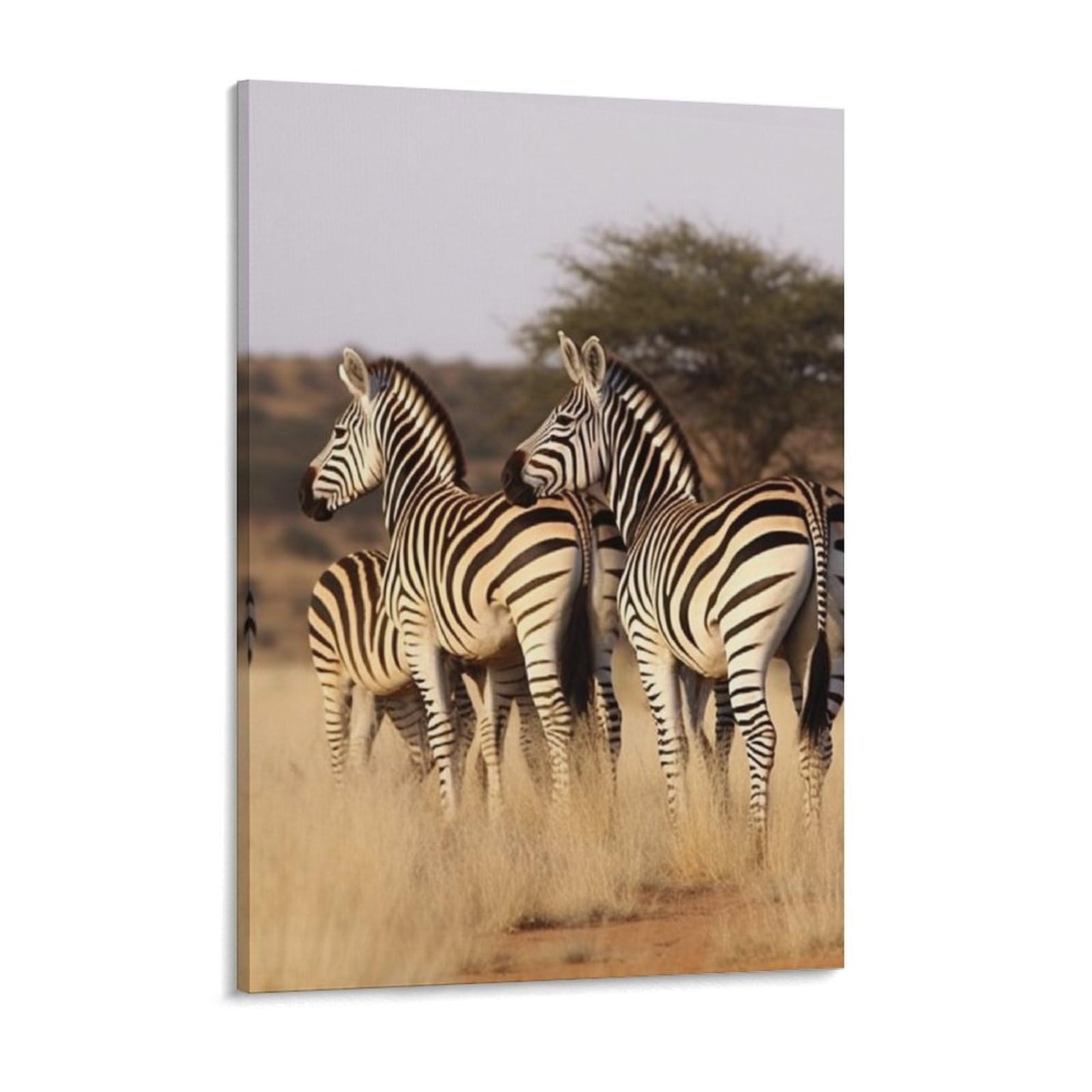 Zebras On South Africa Canvas Wall Art for Bedroom 18x24inch Canvas Prints Artwork for Walls Modern Picture Artwork Painting for Living Room Aesthetic Wall Paintings for Bathroom Kitchen Offi