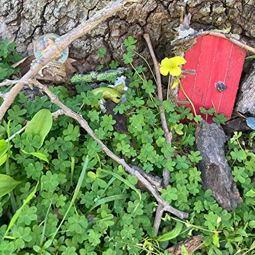 Green Meadow Days cover art