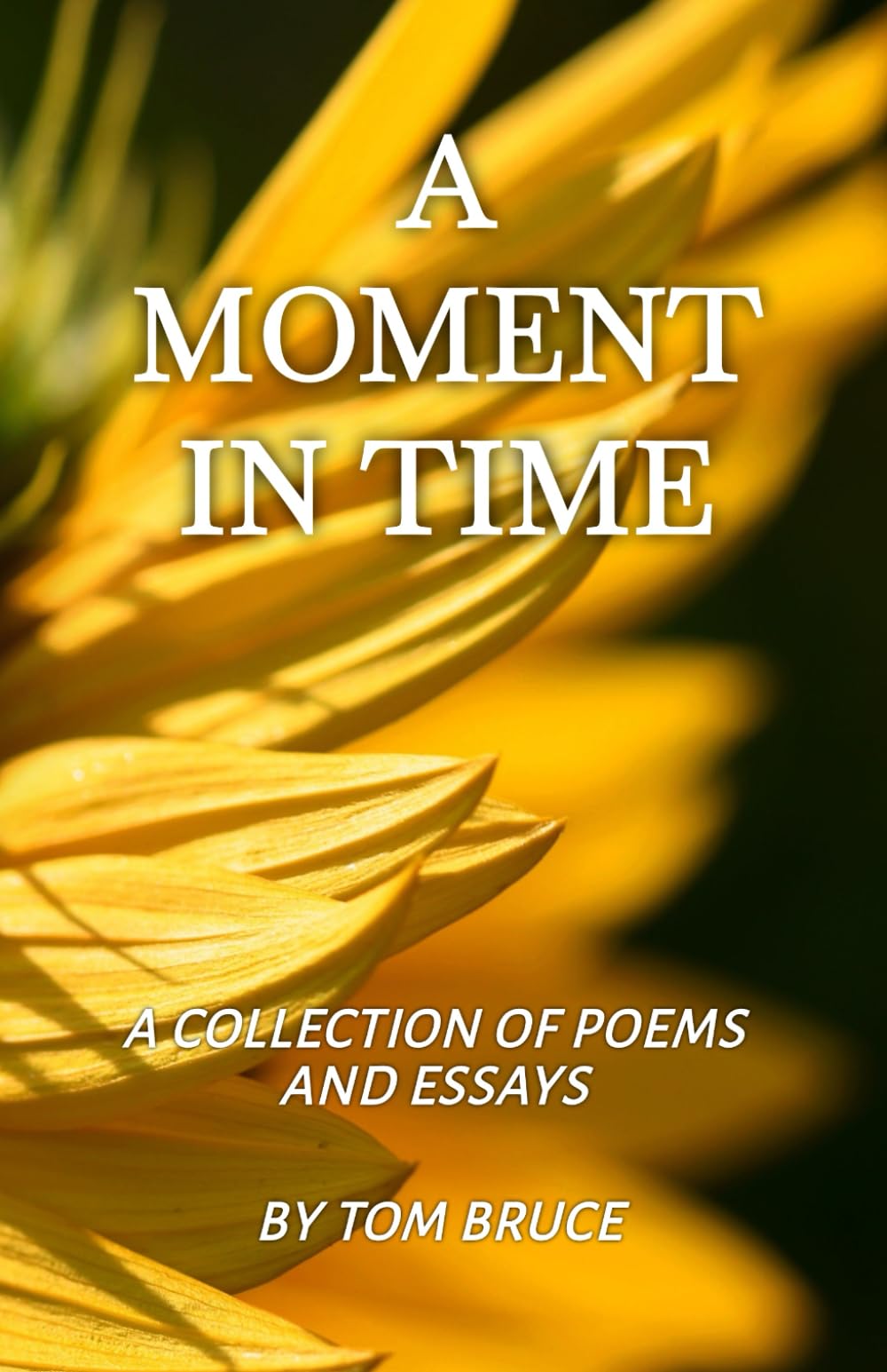 A Moment in Time: A Collection of Poems and Essays