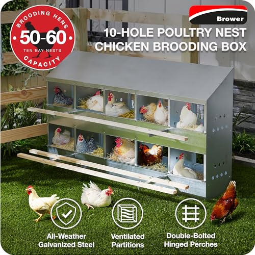 Brower 2-Tier 10-Hole Galvanized Steel Chicken Nesting Box, 50 to 60 Hen Capacity – Outdoor Poultry Laying Station with Hinged Folding Perches, Ventilated Design & Slanted Roof – Made in the USA