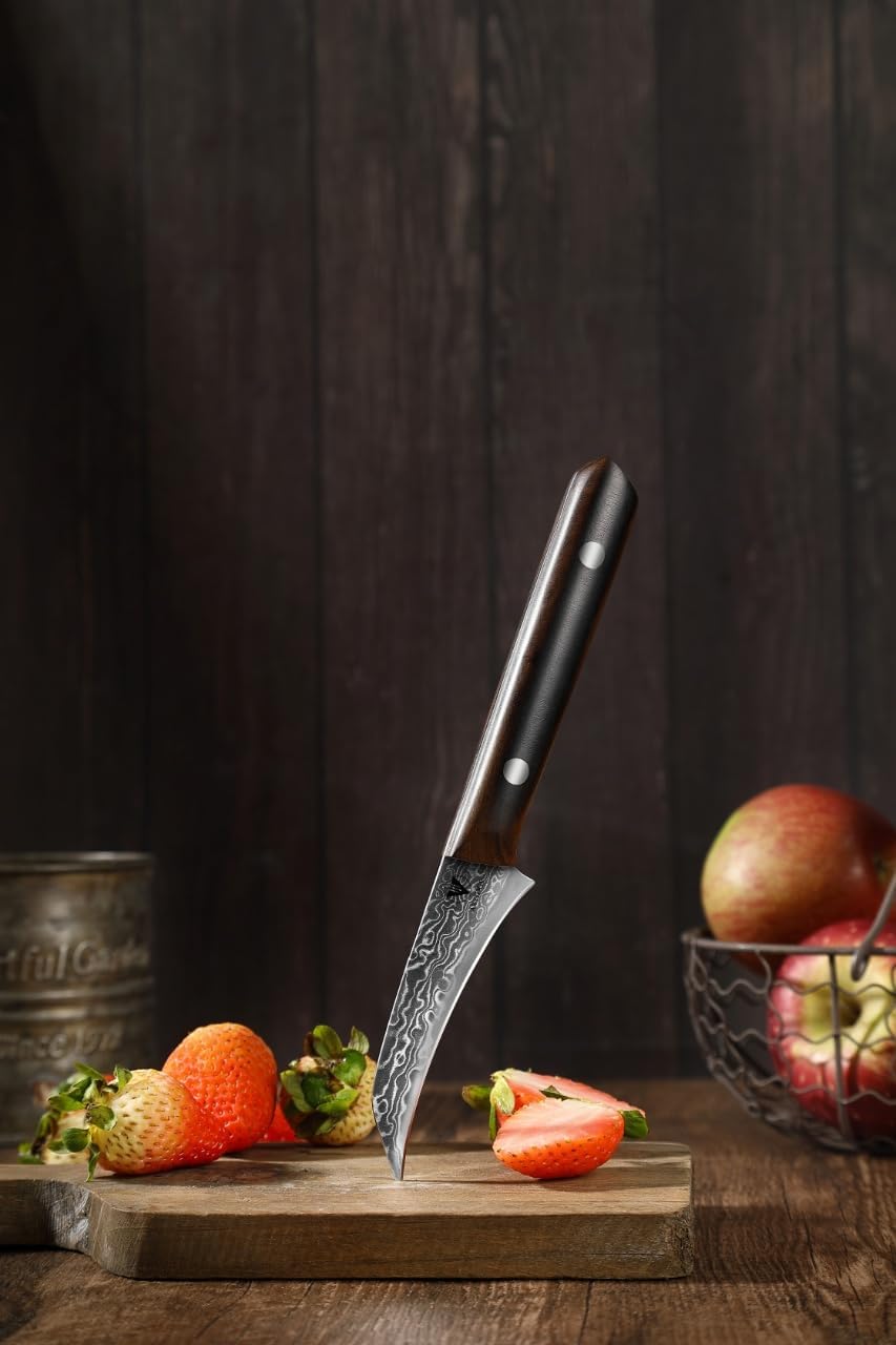 3.5″ Paring Knife Damascus Steel Peel Chef Knife – 67-Layer Forged Fruit/Vegetable Knife with Natural Solid Wood Handle, 15° Double-Edged Blade, Ultra-Sharp & Corrosion Resistant