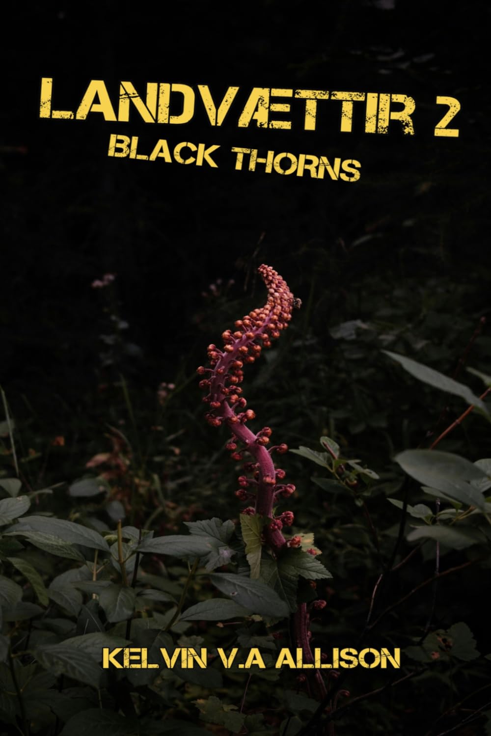 Black Thorns: Landvættir Book Two
