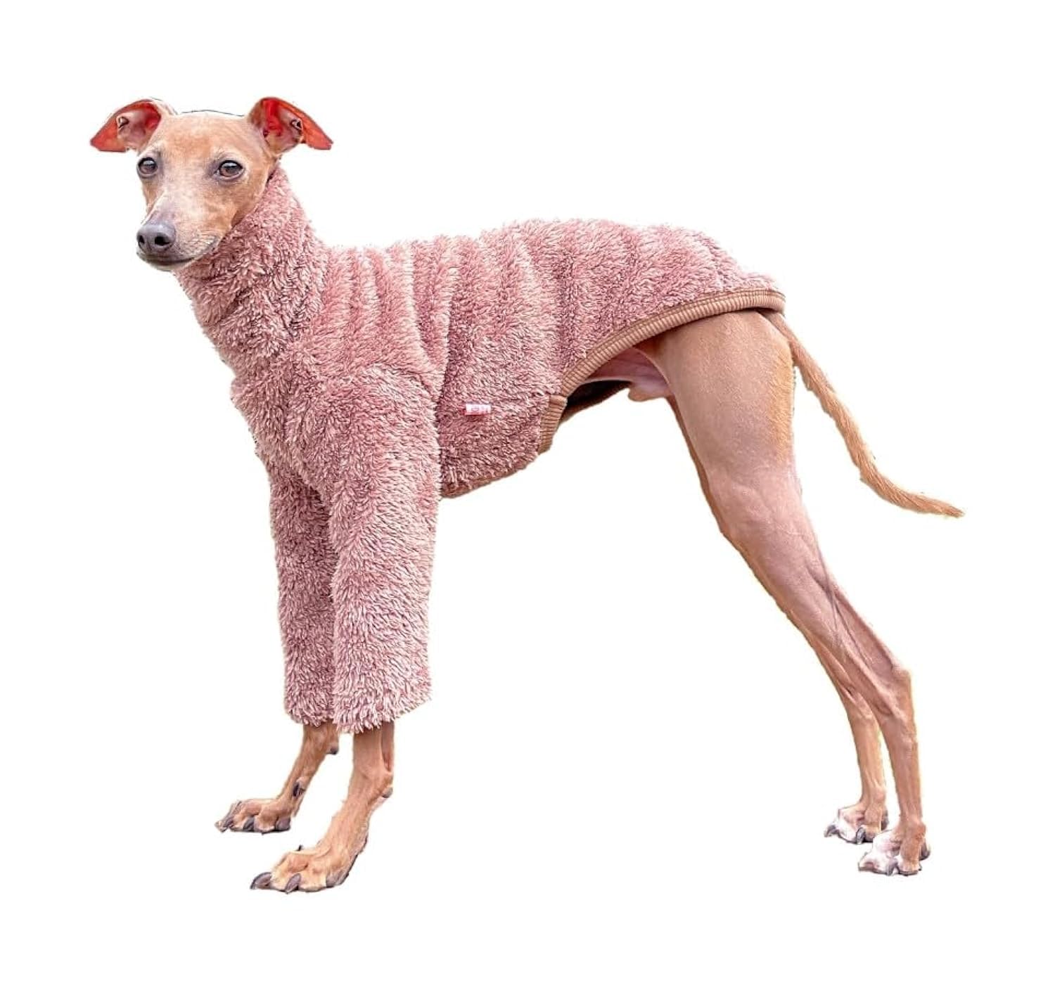 Windhund Overall Für Whippet & Greyhounds - Winddichter Wintermantel Mit Vier Beinen