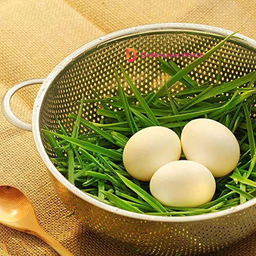 Image of DARSHANAM WORLD Sink Stainless Steel Colander with Fine Mesh Strainer Basket Strain, Drain, Rinse Fruits, Vegetables