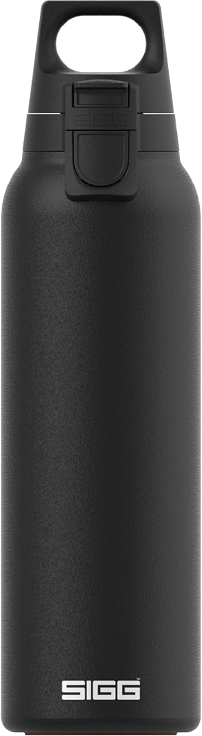 SIGG - Insulated Flask - Thermo Hot & Cold ONE Light - Fruit Filter- BPA-Free - Stainless Steel - 19 Oz