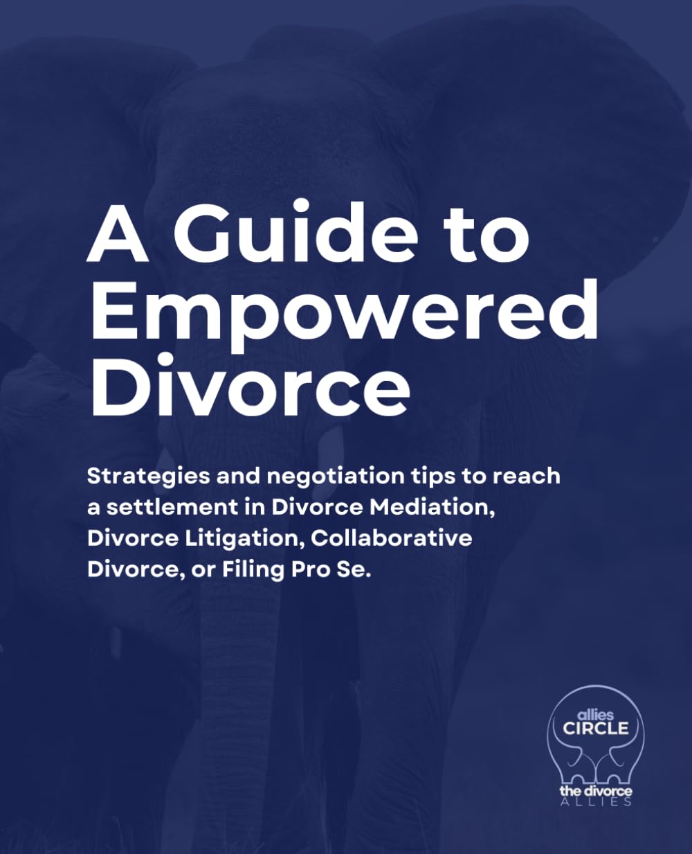 A Guide to Empowered Divorce: Strategies and Negotiation Tips to Reach a Settlement in Divorce Mediation or Litigation