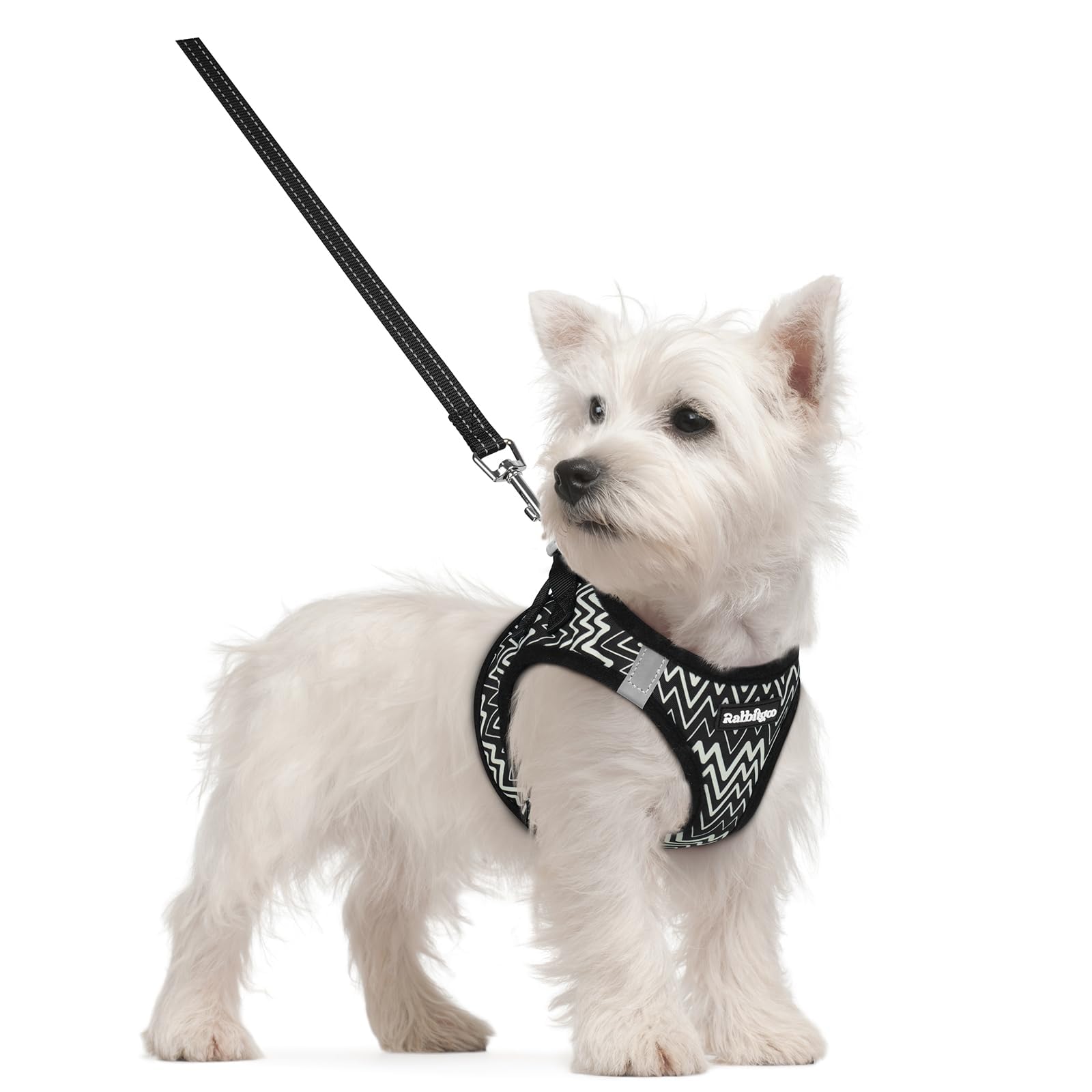 rabbitgoo Dog Harness Small Dog and Leash Set, Step-in Soft Mesh Puppy Harness with Reflective Strips, Lightweight Breathable Pet Vest for Walking Training, Black Zigzag, S