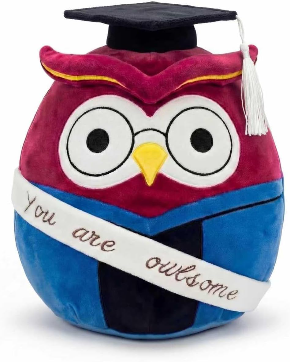 2026 Graduation Owl Plush Gift | You are Owl-Some Motivational Stuffed Animal with Cap & Gown Decorations 11“