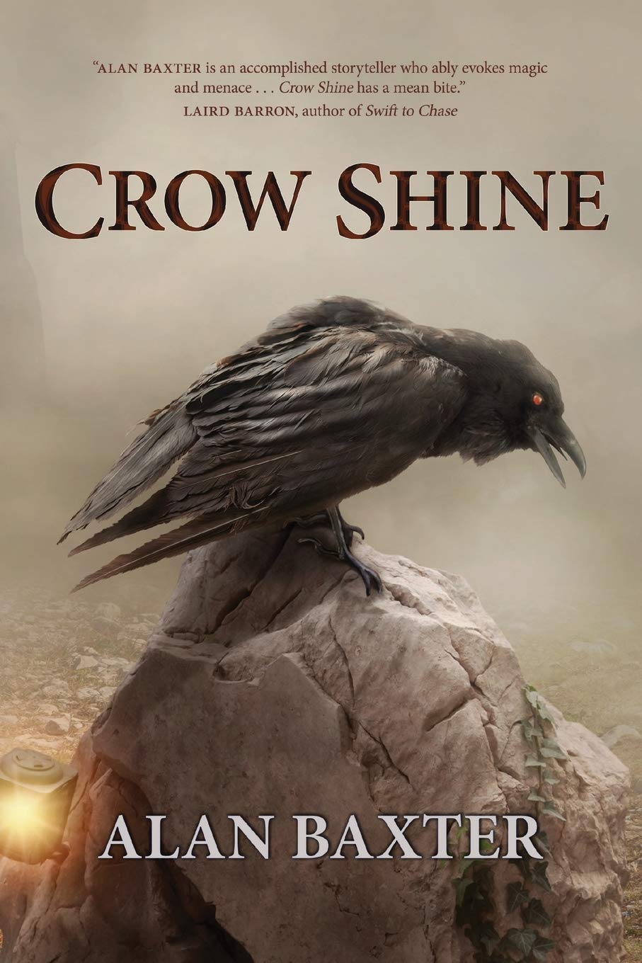 Buy Crow Shine — BookShops.in