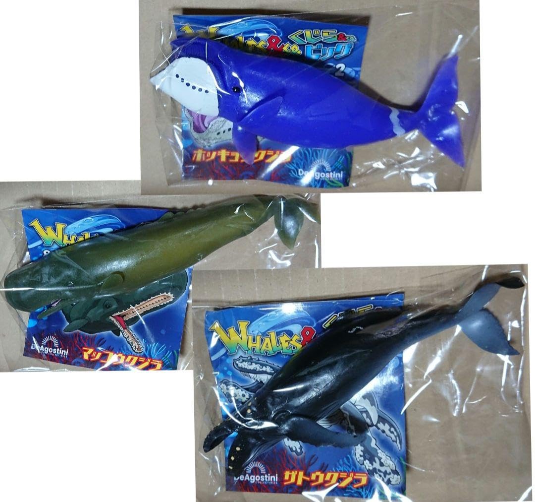 マッコウクジラ Amazon.co.jp: くじら&CO. マッコウクジラ ザトウクジラ