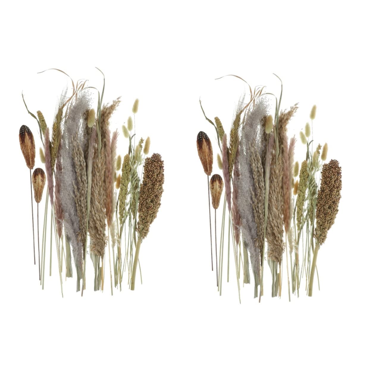 BESPORTBLE 2pezzi Bouquet Naturali Dried Pampas Per Decorazioni Domestiche e Matrimoni Combinazione Secchi Per e Accogliente Per e Speciali