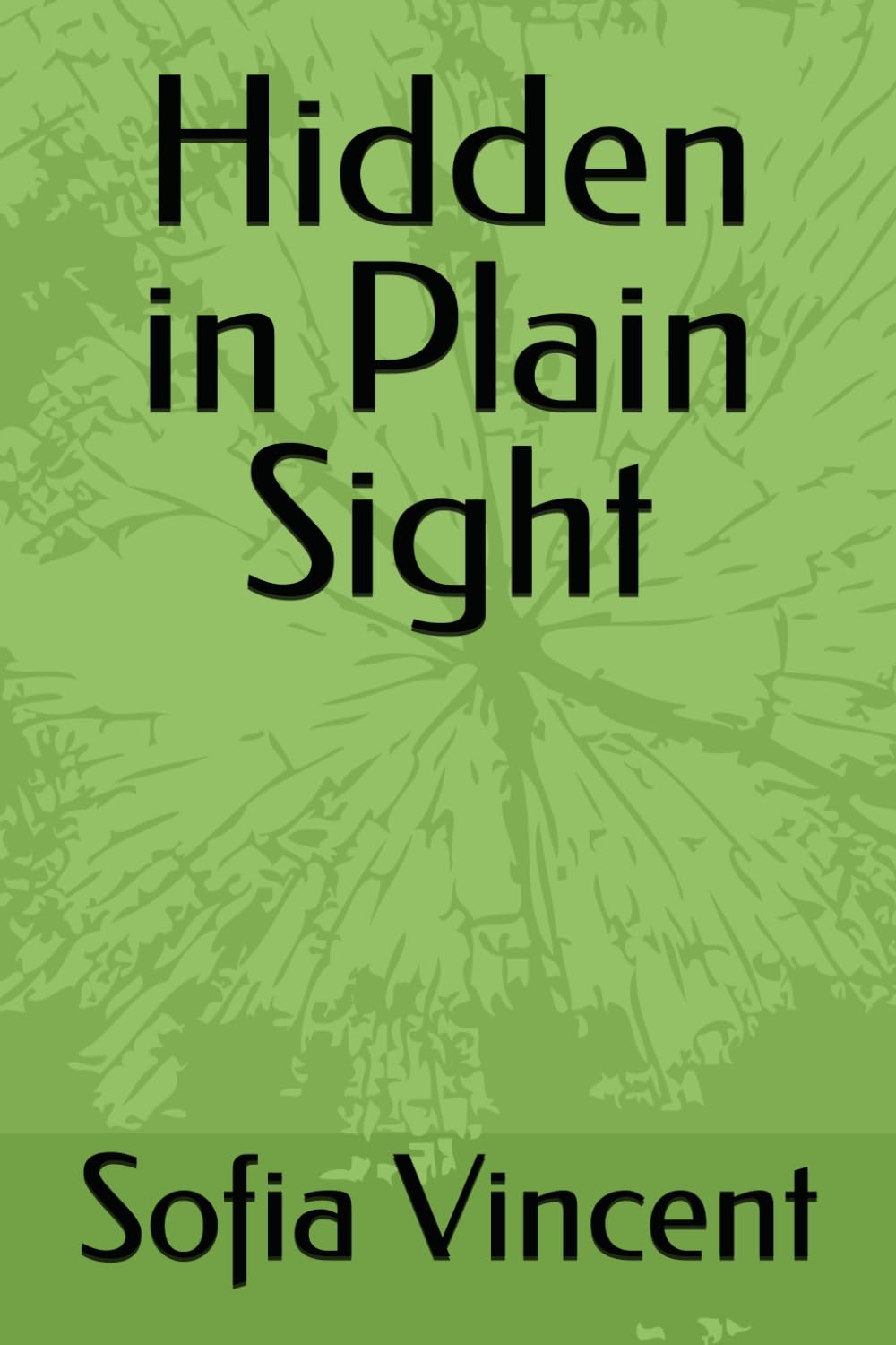 Hidden in Plain Sight (Secrets and Starting over series)