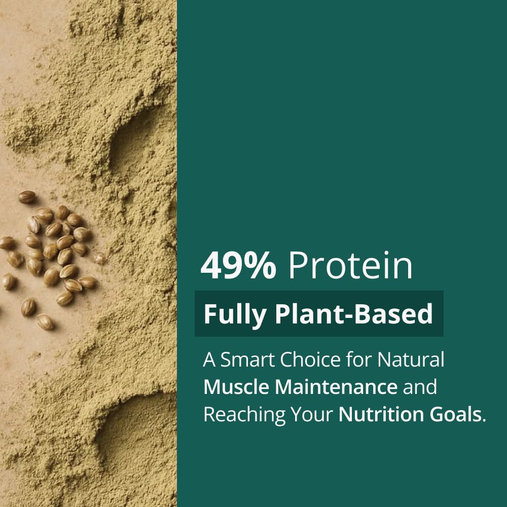 Intenson Proteine di Canapa Bio, 500 g, Biologico Certificato UE, Alto Contenuto Proteico, Supporta il Mantenimento e la Rigenerazione Muscolare, Vegano, Senza Glutine, Senza Additivi, Senza Lattosio