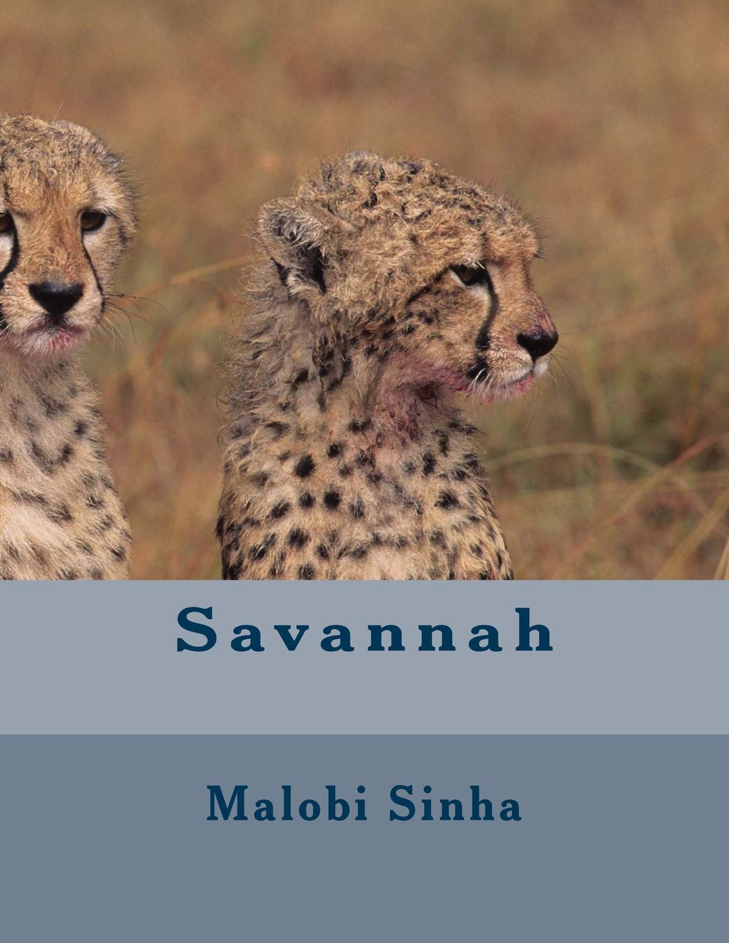 Savannah: A Collection of Beautiful Poetry (Poetry of the Grasslands Book 1)