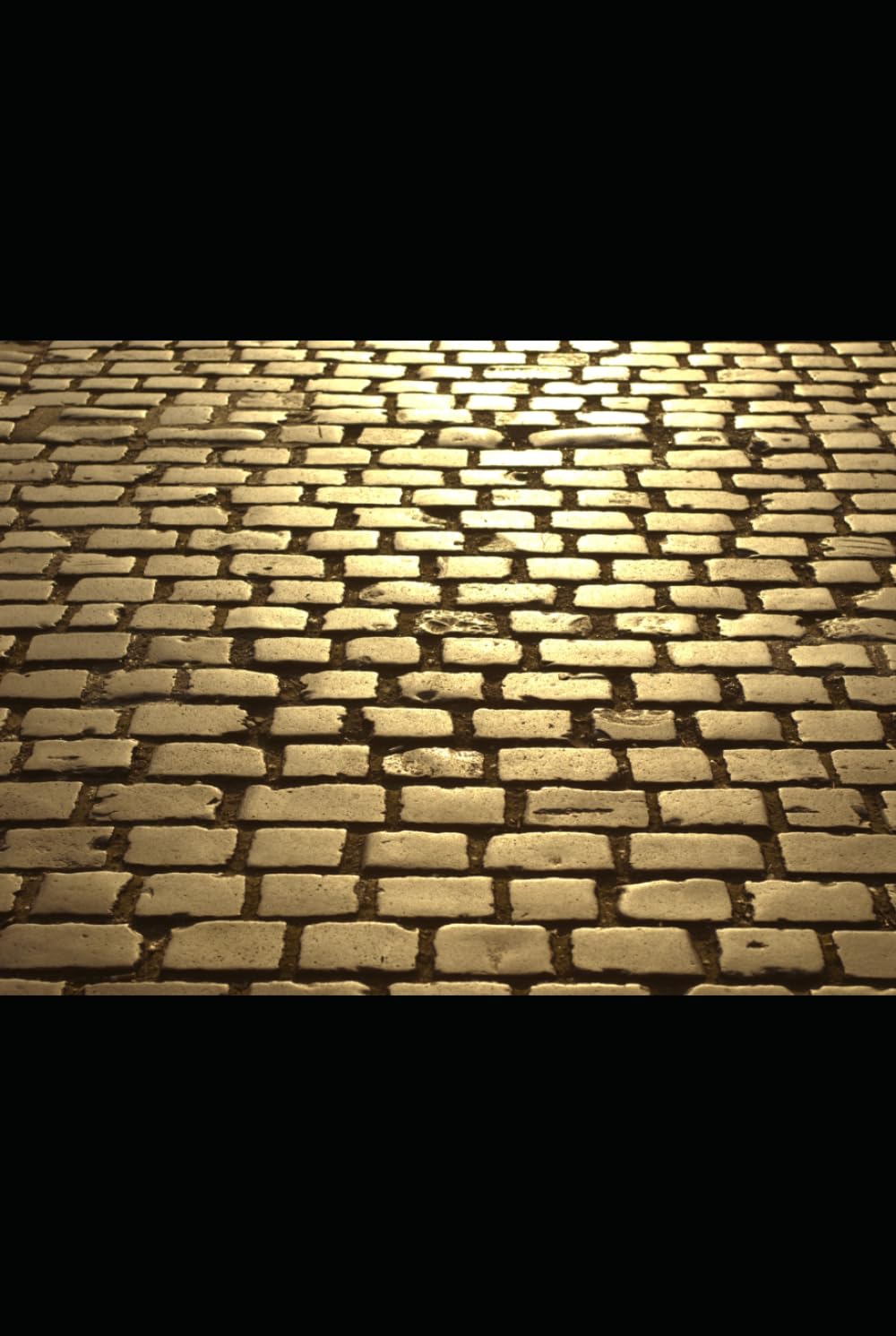 Stoic Living 365: Embrace the Resilient Stoic Within