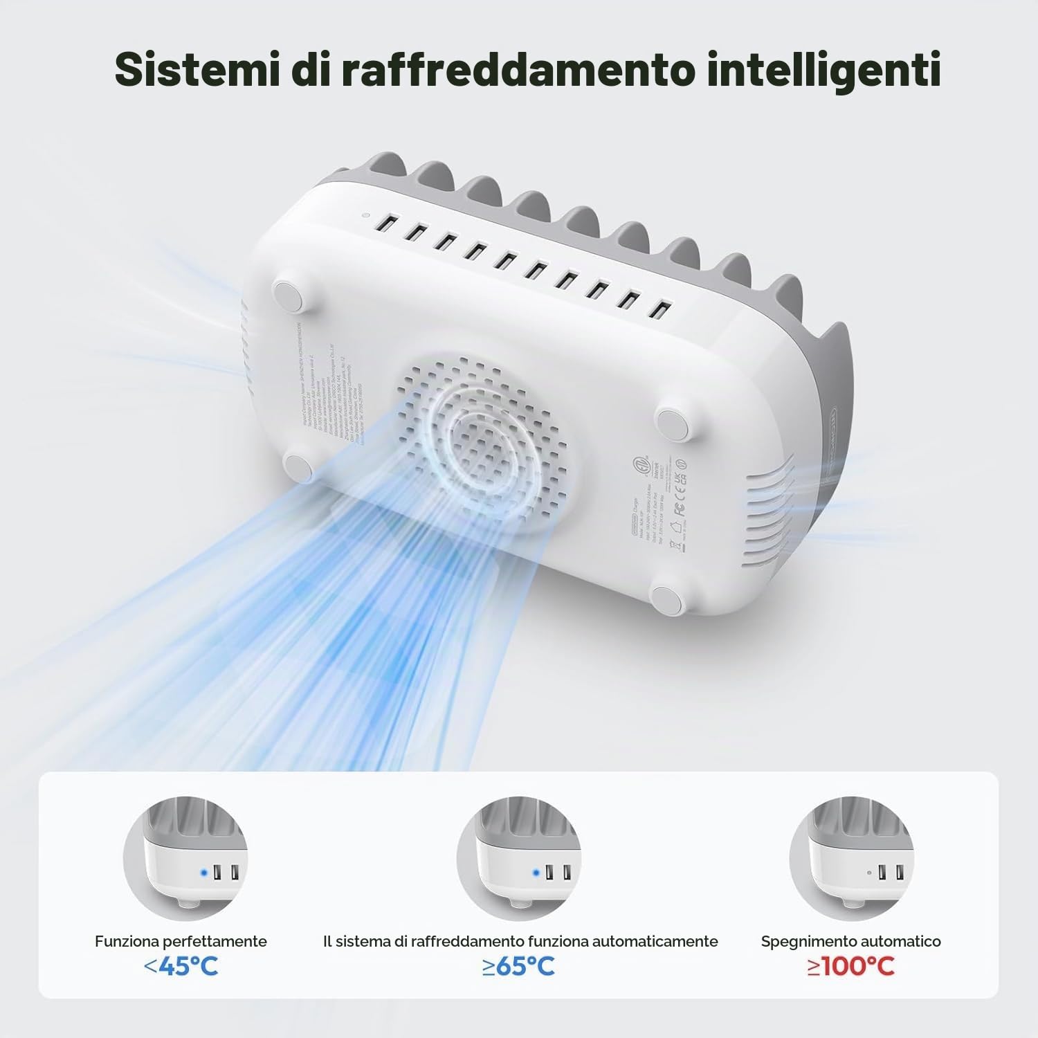 Stazione di Ricarica NTONPOWER con 10 Porte USB, per 10 Tablet e Smartphon, Caricatore Multi USB da 120W, Per Contenere più Componenti Elettronici e Organizzare la Scrivania - Grigio